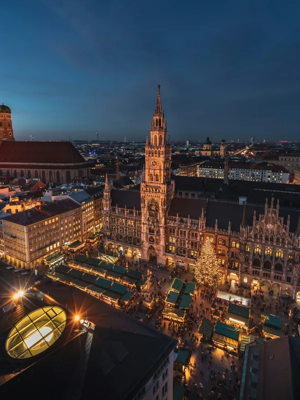 Consultant analyzing a project