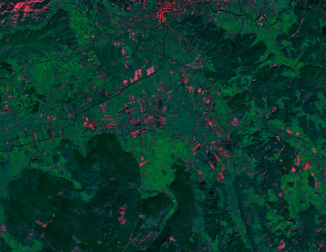 AI-powered satellite analysis of agricultural land