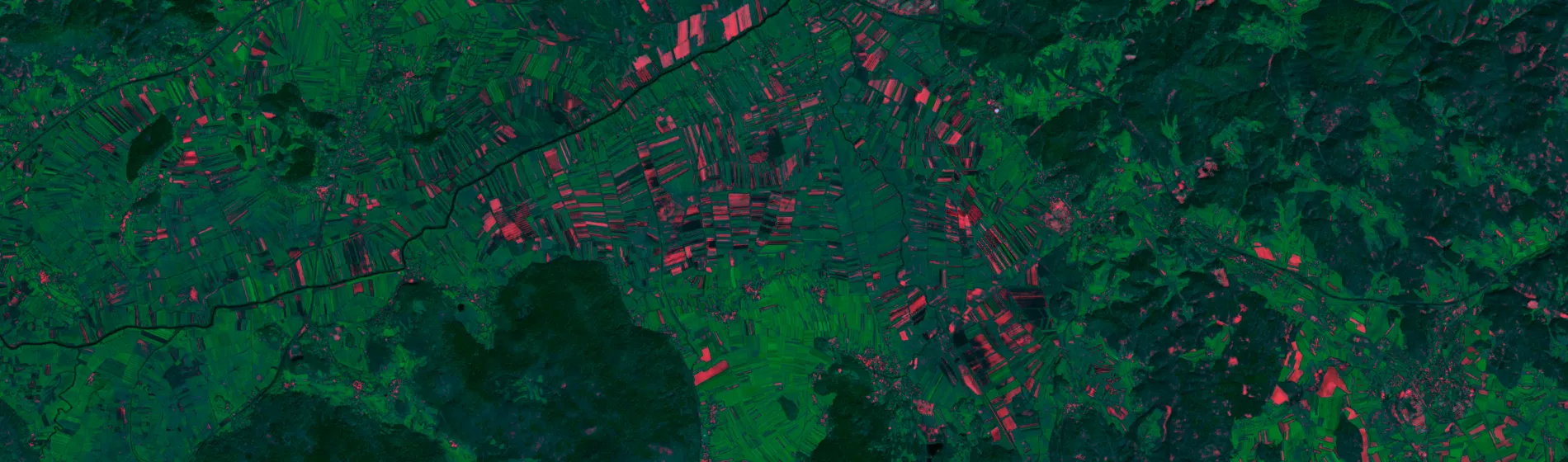 Geospatial analytics applied to crop monitoring